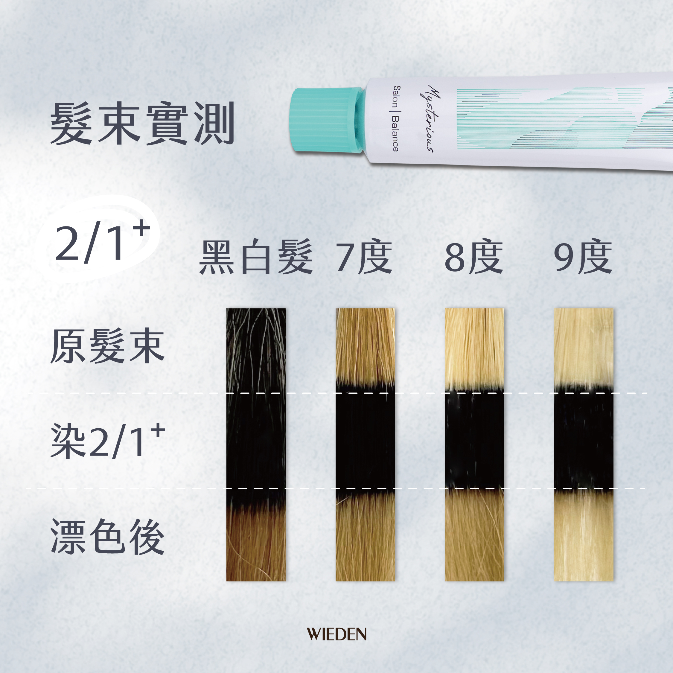 21+新色染膏-02